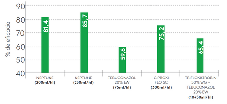 Eficacia de Neptube sobre el Repilo